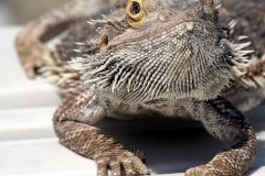 45895_104843816243003_3158714_n_104843816243003