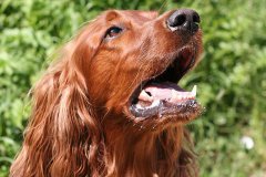 47680_104843846243000_2717601_n_104843846243000